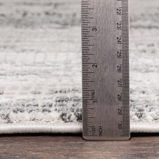 Aisha Rug | Gray/White