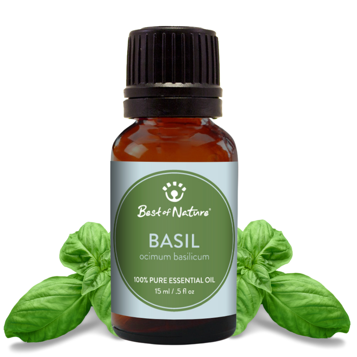 Best of Nature Sweet Basil Essential Oil