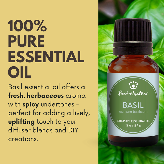 Best of Nature Sweet Basil Essential Oil