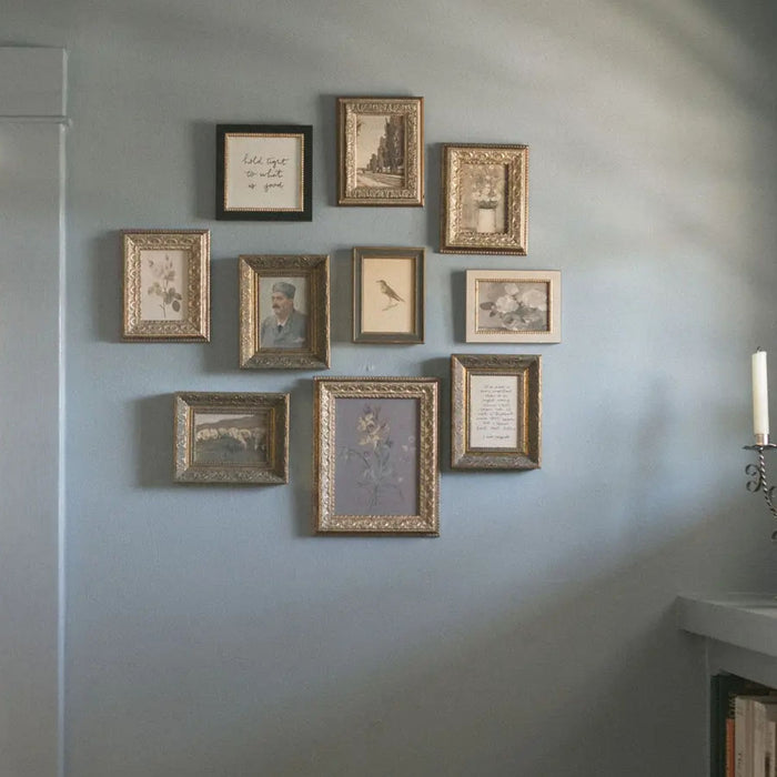 Bird Framed Antique Art