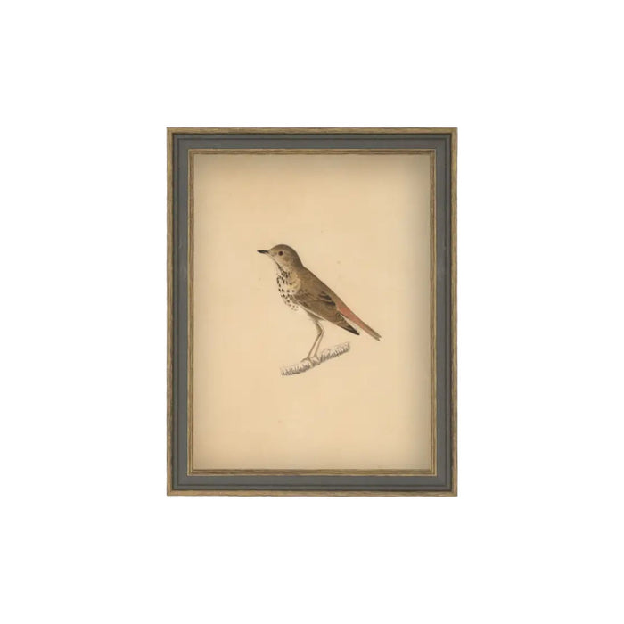 Bird Framed Antique Art