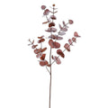 Brown Eucalyptus Spray