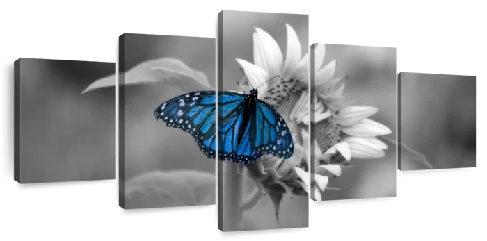 Butterfly Pop Wall Art