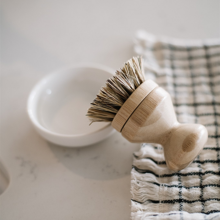 Ceramic Scrubber Dish