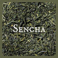 China Sencha Green Tea | 16 oz bulk