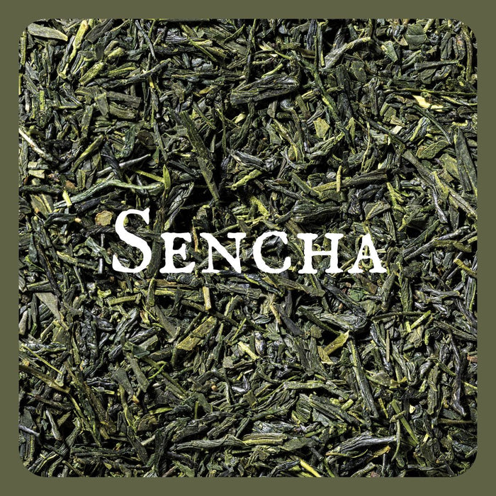 China Sencha Green Tea | 16 oz bulk