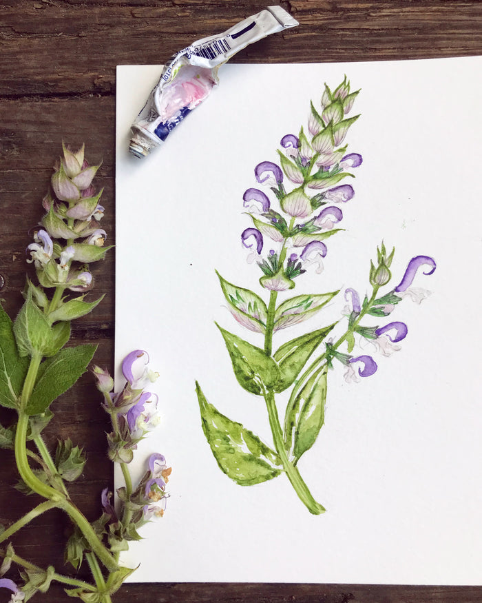 Clary Sage Mist