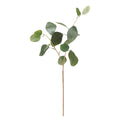 Eucalyptus Leaf Spray