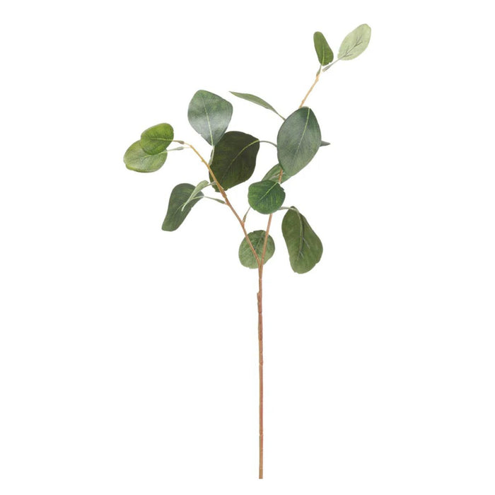 Eucalyptus Leaf Spray