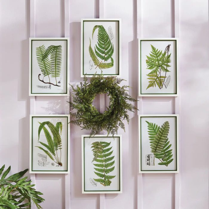 Fern Wreath