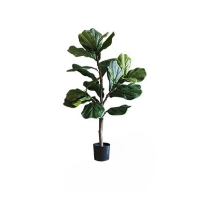 Fiddle Leaf Tree