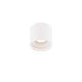 White finish ceiling light, by Modern Forms, for hallway, bedroom, or entryway