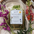 Fruity Iced Tea Sampler