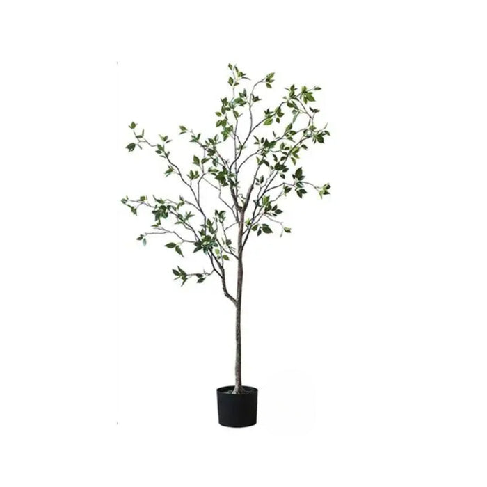 Green Leaf Tree