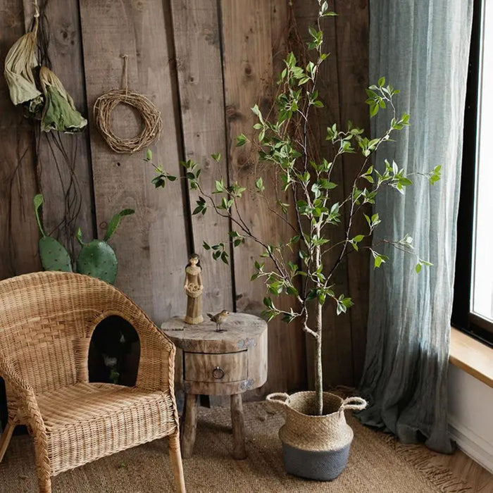 Green Leaf Tree