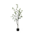 Green Leaf Tree