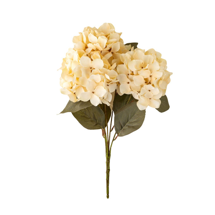 Hydrangea Spray