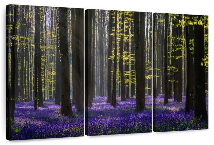 Lavender In The Forest Wall Art