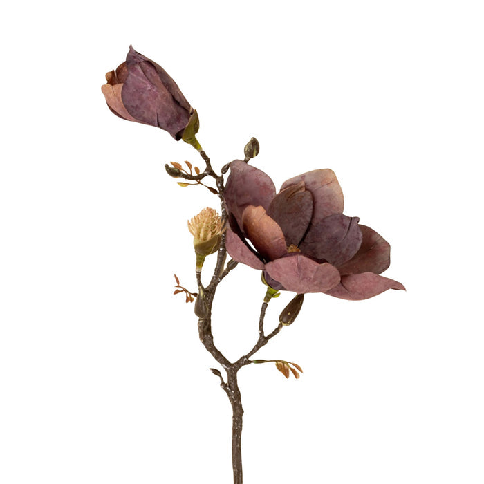 Magnolia Branch | Purple