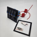 MARINE SWITCH