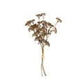 Meadow Grass Bouquet