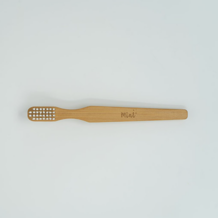 Mint Bamboo Cleaning Brush
