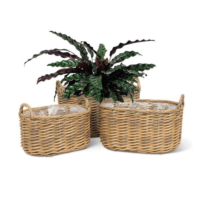 Odette Basket