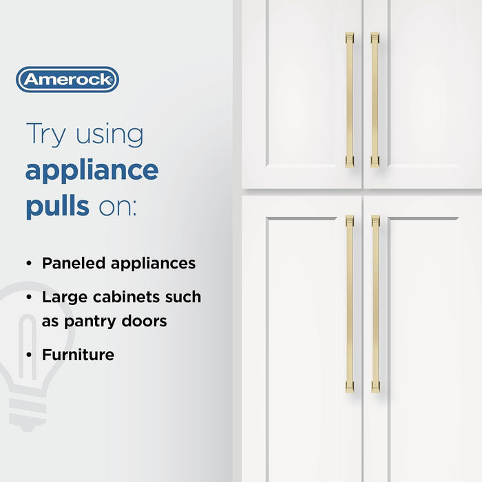 Open Box - Amerock BP54055G10 - Pulls Cabinet Hardware