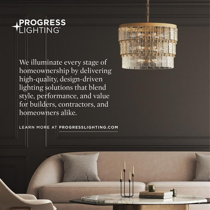 Open Box - Progress Lighting P550100-031-30 - Pendants Outdoor Lighting