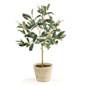 Potted Olive Tree | 19.5"