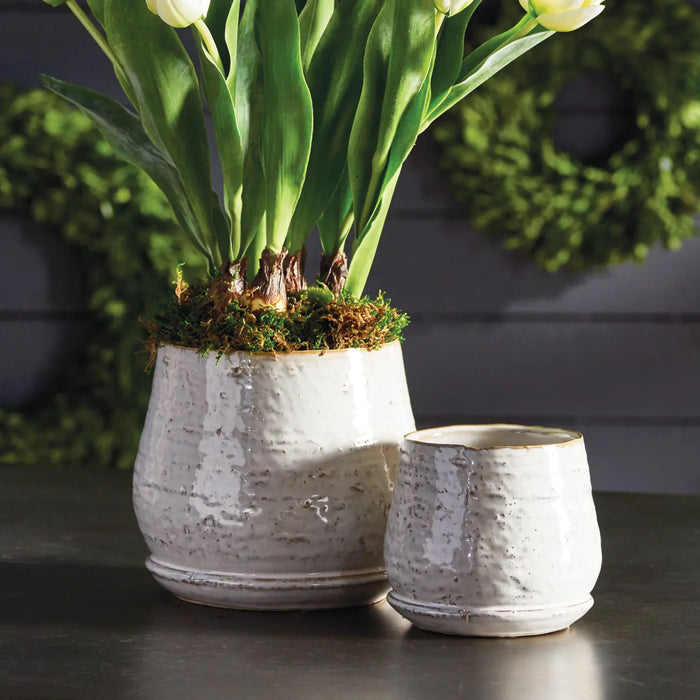 Quincy Pot