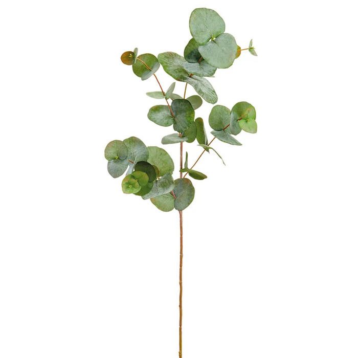 Silver Dollar Stem