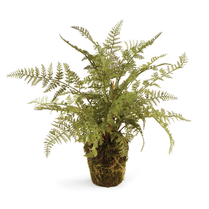 Soft Fern Drop-In