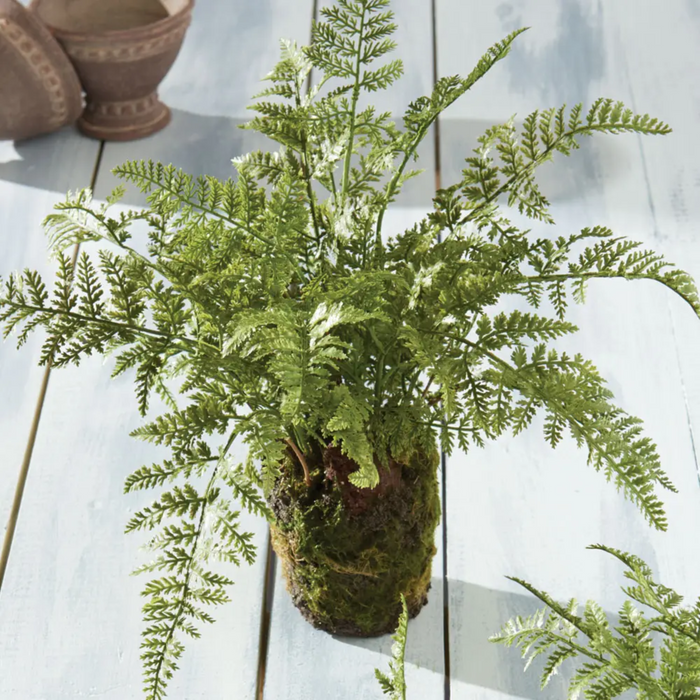 Soft Fern Drop-In