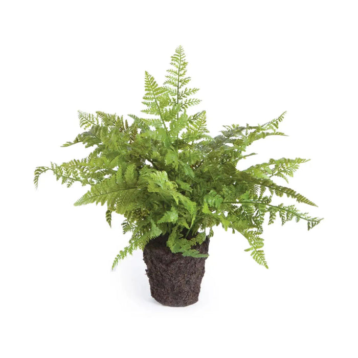 Soft Fern Drop-In