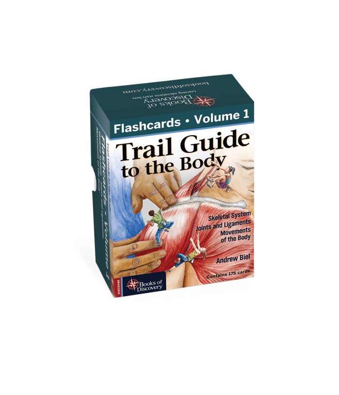 Trail Guide to the Body Flashcards Volume 1, 7th edition - Skeletal System