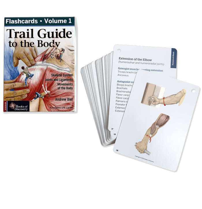 Trail Guide to the Body Flashcards Volume 1, 7th edition - Skeletal System