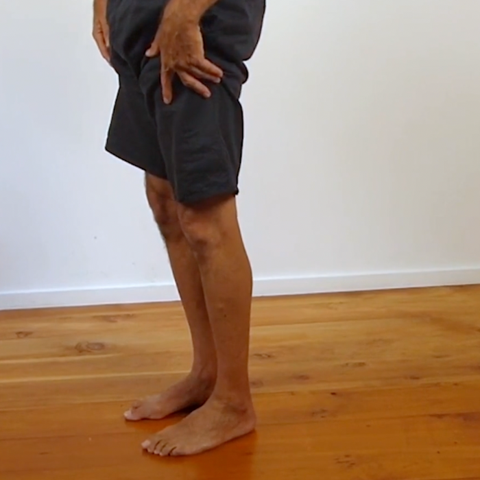Understanding and Evaluating Posture - 7 CE Hours