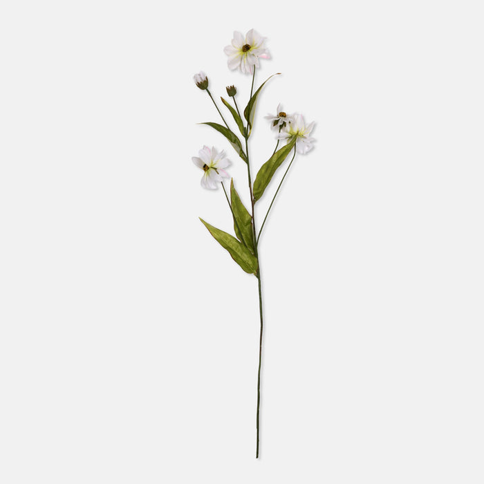 Wild Cosmos Stem